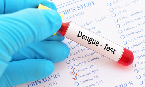 Test sốt xuất huyết dengue giúp chẩn đoán bệnh trong giai đoạn nào và có hiệu quả như thế nào?