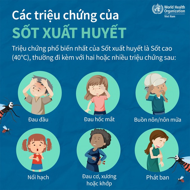 Biểu Hiện Của Bệnh Sốt Xuất Huyết